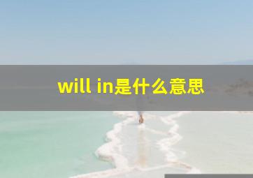 will in是什么意思